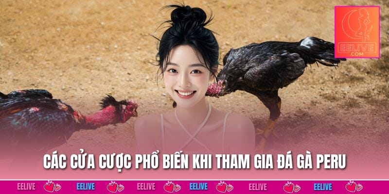 Các cửa cược phổ biến khi tham gia đá gà peru