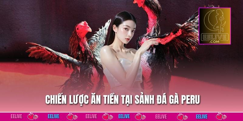 Chiến lược ăn tiền tại sảnh đá gà peru