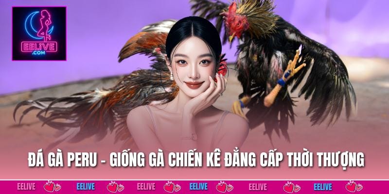 Đá Gà Peru