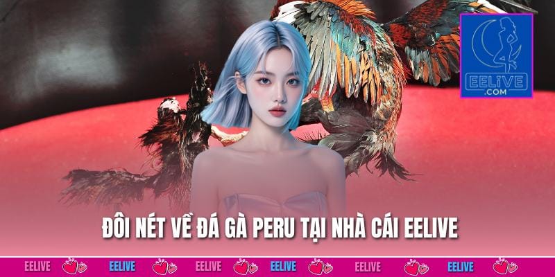 Đôi nét về đá gà peru tại nhà cái EELIVE