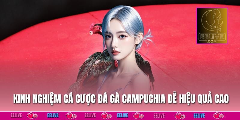 Kinh nghiệm cá cược đá gà campuchia dễ hiệu quả cao