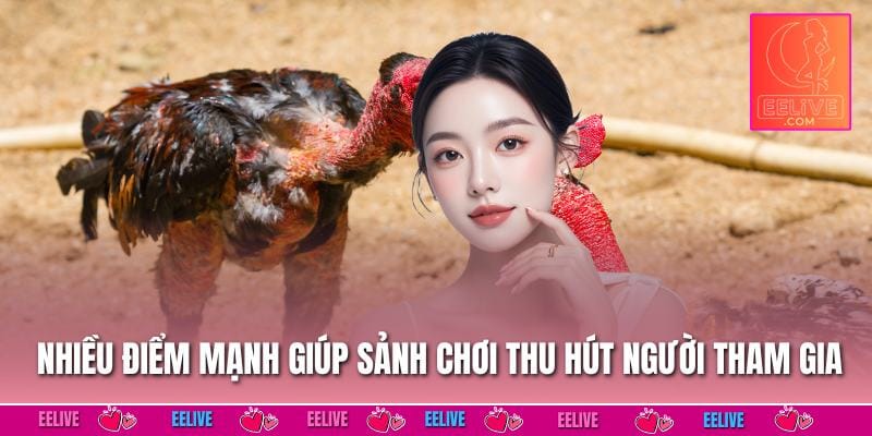 Nhiều điểm mạnh giúp sảnh chơi thu hút người tham gia