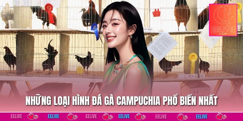 Những loại hình đá gà campuchia phổ biến nhất
