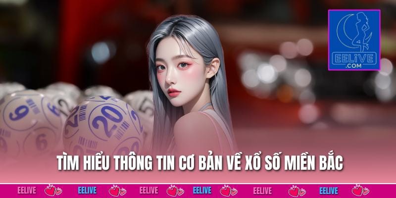 Tìm hiểu thông tin cơ bản về xổ số miền bắc