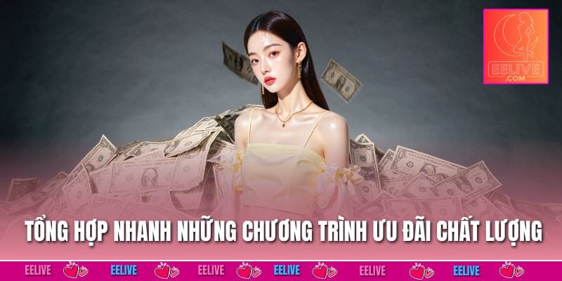 Tổng hợp nhanh những chương trình ưu đãi chất lượng